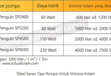 Kolam Koi Kotak Tanpa Relief, Pompa 50 Watt Andalkan Sirkulasi Hemat Energi