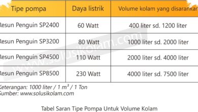 Kolam Koi Kotak Tanpa Relief, Pompa 50 Watt Andalkan Sirkulasi Hemat Energi