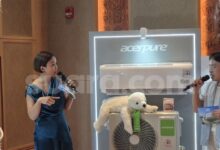 Acerpure Tak Hanya Jualan di Indonesia, Konsumen Muda Jadi Taruhan Utama