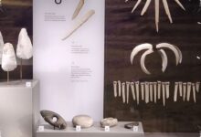 200 Tahun Dianggap Pria, Dukun Zaman Perunggu dekat Stonehenge Ternyata Perempuan
