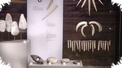200 Tahun Dianggap Pria, Dukun Zaman Perunggu dekat Stonehenge Ternyata Perempuan