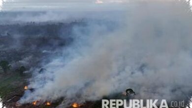 Kemarau Baru Dimulai, 37 Karhutla Menjangkau 16 Daerah di Jawa Tengah