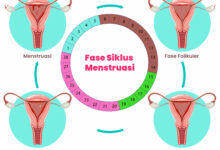 4 Fase Siklus Menstruasi, Kapan Bisa Gas Latihan dan Saat Tubuh Perlu Melambat