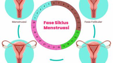 4 Fase Siklus Menstruasi, Kapan Bisa Gas Latihan dan Saat Tubuh Perlu Melambat