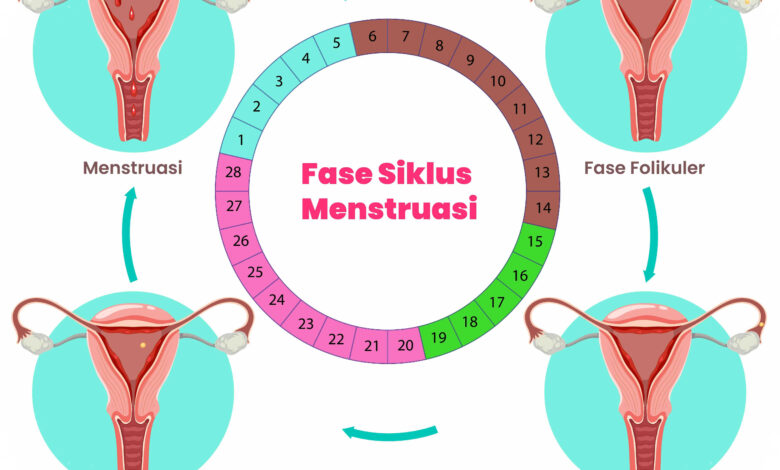 4 Fase Siklus Menstruasi, Kapan Bisa Gas Latihan dan Saat Tubuh Perlu Melambat