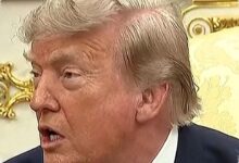 Kabut Asap Kanada Menyelimuti AS, Trump Ingin Masukkan Kerugiannya ke Tarif