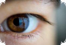 Retina Donor Masih Merespons Cahaya 10 Jam Setelah Kematian, Apa Artinya?