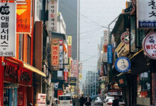 Peserta Open Trip Diduga Hilang di Korea Selatan, Travel dan Rombongan Terancam Dampak