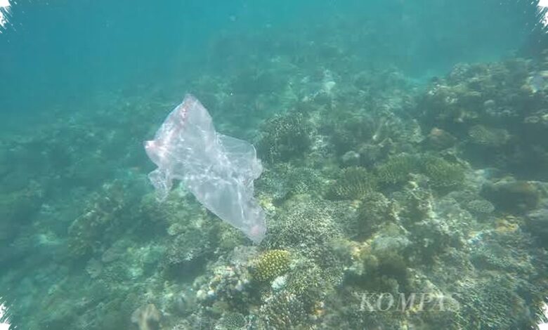 Mikroplastik Sudah Masuk ke Pangan Laut, Tekanan bagi Laut Indonesia Kian Nyata