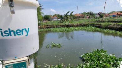 Investasi KWAP Hampir RM200 Juta Terdampak, Anwar Sebut eFishery Penipuan Terencana