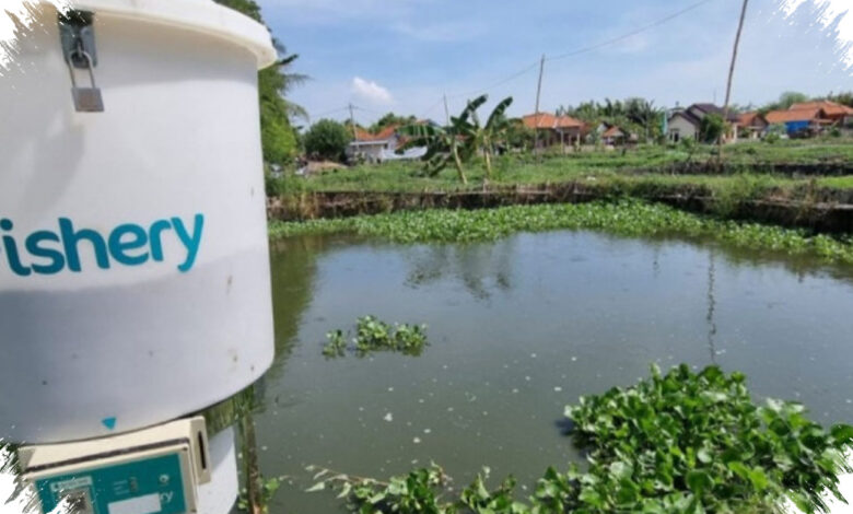 Investasi KWAP Hampir RM200 Juta Terdampak, Anwar Sebut eFishery Penipuan Terencana