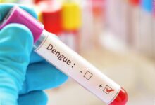 Dengue Menguras Hampir Rp9 Triliun, 3M Plus Dinilai Tak Lagi Cukup Sendiri