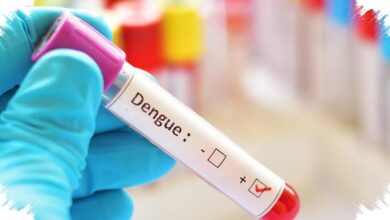 Dengue Menguras Hampir Rp9 Triliun, 3M Plus Dinilai Tak Lagi Cukup Sendiri
