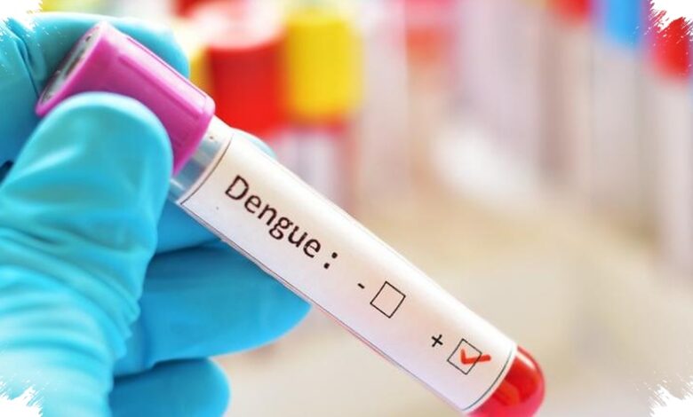 Dengue Menguras Hampir Rp9 Triliun, 3M Plus Dinilai Tak Lagi Cukup Sendiri