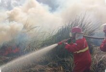 Kemarau Kering dan 1.770 Hotspot di Kalsel, 180 Personel Manggala Agni Disiagakan
