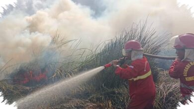 Kemarau Kering dan 1.770 Hotspot di Kalsel, 180 Personel Manggala Agni Disiagakan