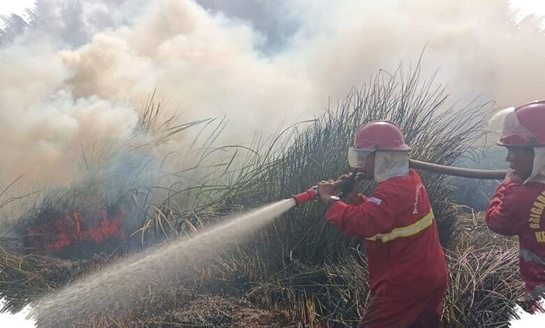 Kemarau Kering dan 1.770 Hotspot di Kalsel, 180 Personel Manggala Agni Disiagakan