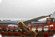China Borong 95 Airbus Rp318 Triliun, Sinyal Ekspansi Armada Makin Agresif