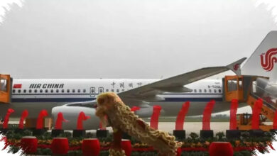China Borong 95 Airbus Rp318 Triliun, Sinyal Ekspansi Armada Makin Agresif