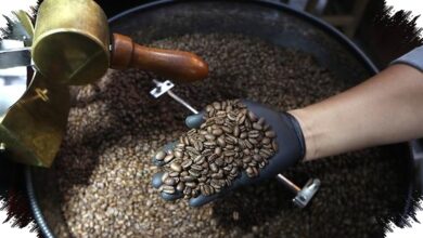 Kopi Indonesia Menembus China dan Maroko, SRG Siapkan Total 10 Kontainer