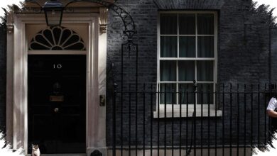 Pesan Tegas Larry untuk Andy Burnham, Kotak Pasir dan Makan Tak Boleh Terlewat
