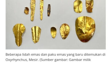 24 Lidah Emas Ditemukan di Makam Mesir, Bekal Arwah untuk Bicara dengan Osiris