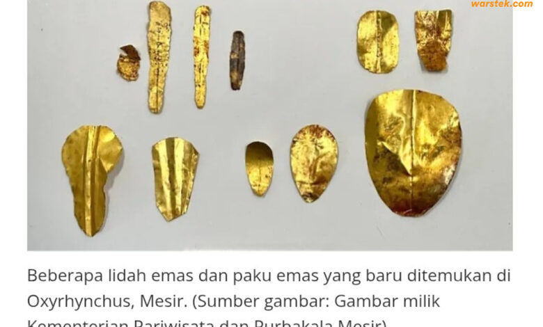 24 Lidah Emas Ditemukan di Makam Mesir, Bekal Arwah untuk Bicara dengan Osiris