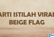 Kebiasaan Aneh Pasangan Tak Selalu Berbahaya, Kenali Beige Flag dan Red Flag