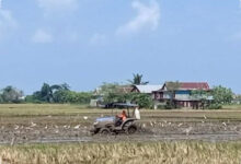 Sawah Mulai Mengering, Sidrap Kerahkan Mobil Tangki demi Cegah Gagal Panen