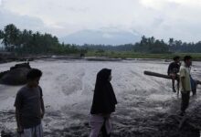 Banjir Agam Memaksa 450 Warga Mengungsi, 60 Jiwa Sempat Terjebak Arus Deras