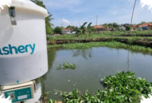 PM Malaysia Sesalkan Penipuan eFishery, Investasi KWAP Nyaris RM200 Juta Disorot