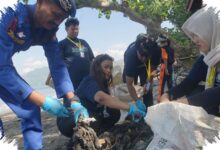 52 Kg Popok Terdampar di Pantai Sidem, Jejak Sampah dari Hulu yang Mengkhawatirkan