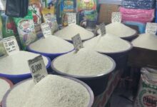 21 Harga Pangan 19 Juli 2026, Ayam Menguat saat Harga Beras Tetap Stabil