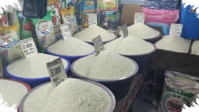 21 Harga Pangan 19 Juli 2026, Ayam Menguat saat Harga Beras Tetap Stabil