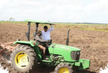 Mentan Tegaskan Sawah di Papua Tetap Milik Rakyat, Isu Rp 100 Ribu Dibantah