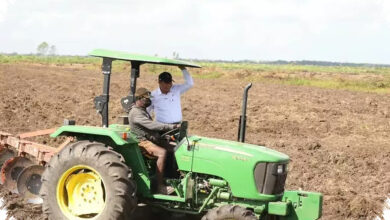 Mentan Tegaskan Sawah di Papua Tetap Milik Rakyat, Isu Rp 100 Ribu Dibantah