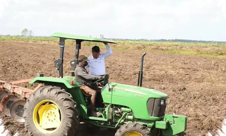 Mentan Tegaskan Sawah di Papua Tetap Milik Rakyat, Isu Rp 100 Ribu Dibantah