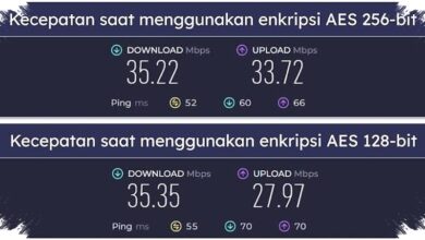 10 Negara dengan Internet Seluler Terkencang, UEA Jauh di Atas Rata-rata Global