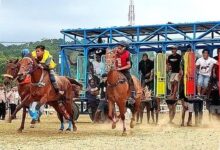 Keselamatan Joki Mulai Diperkuat, Pacu Kuda Sumba Menatap PON XXII 2028
