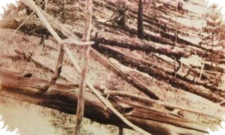 Meteorit yang Menembus Atap Rumah Simpan Jejak Kimia Awal Kehidupan