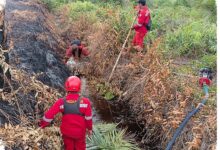 Api di Pematang Pudu Padam, Asap Belum Tuntas di Area 81 Hektare