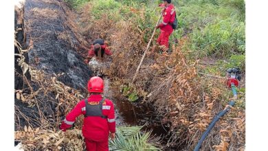 Api di Pematang Pudu Padam, Asap Belum Tuntas di Area 81 Hektare