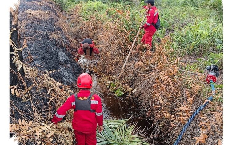 Api di Pematang Pudu Padam, Asap Belum Tuntas di Area 81 Hektare