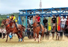 Pacuan Kuda Sumba Barat Masuk Venue PON 2028, Keselamatan Joki Cilik Diperkuat