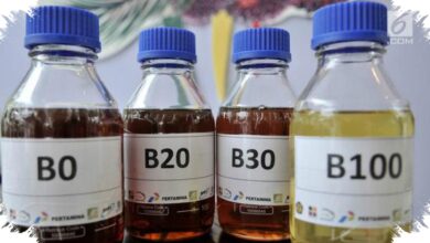 Kia Siap Pakai Biodiesel B50, tetapi Solar Rendah Sulfur Belum Merata
