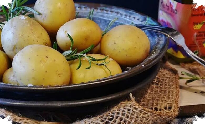 5 Makanan yang Lebih Ringan saat Perut Bermasalah, Tekstur Lembut Bisa Membantu