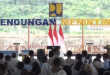 5 Bendungan Baru Menopang 39.540 Hektare Sawah, Harapan Panen Saat Kemarau