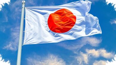 Wali Kota Jepang Ambil Cuti Melahirkan, Gaji Penuh Memicu Perdebatan