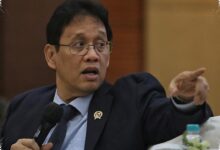 Insentif Pajak 0% hingga 50 Tahun di PFII Belum Pasti, Terikat Aturan Global