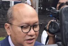 DSI Memantau Devisa US$ 10,5 Miliar, Selisih Harga Sawit Mulai Menyempit